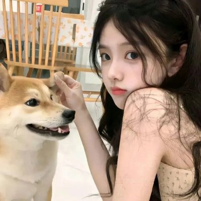 蔡李佛拳